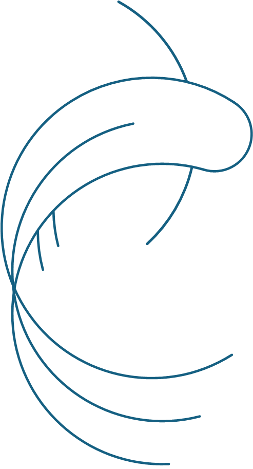 COI View fish logo